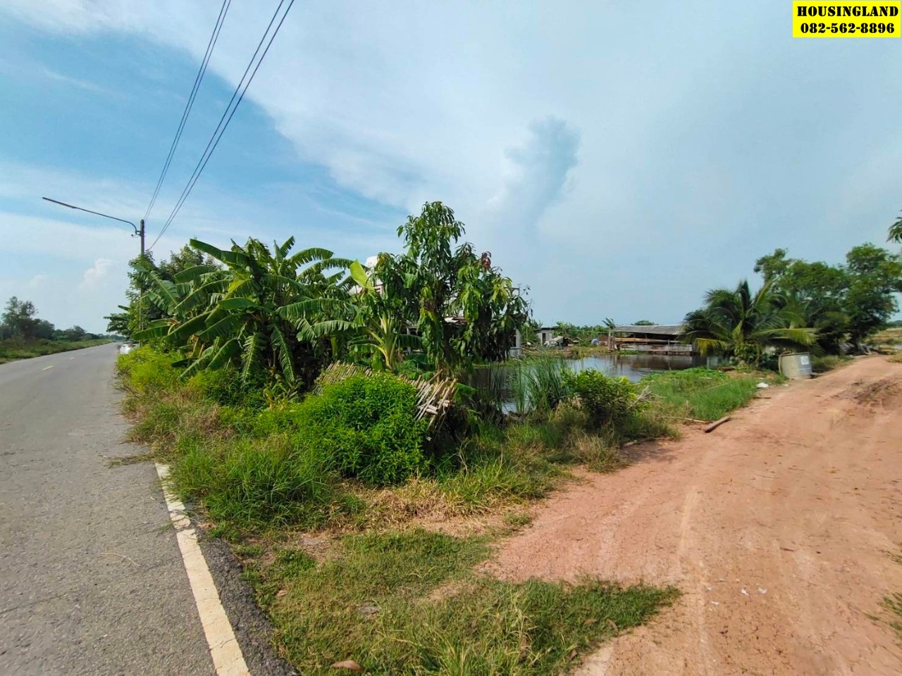ขายที่ดินซอยระพีพัฒน์ 5 คลอง12 หนองเสือ  ตำบลนพรัตน์  อำเภอหนองเสือ จังหวัดปทุมธานี  